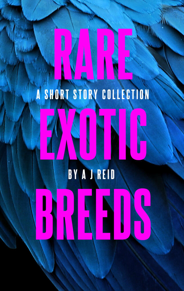 Short story anthology, dark fiction, surreal fiction