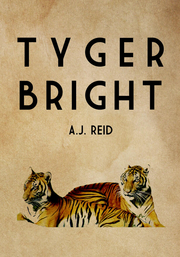 Dark surreal short stories, psychological literary fiction, dark humour