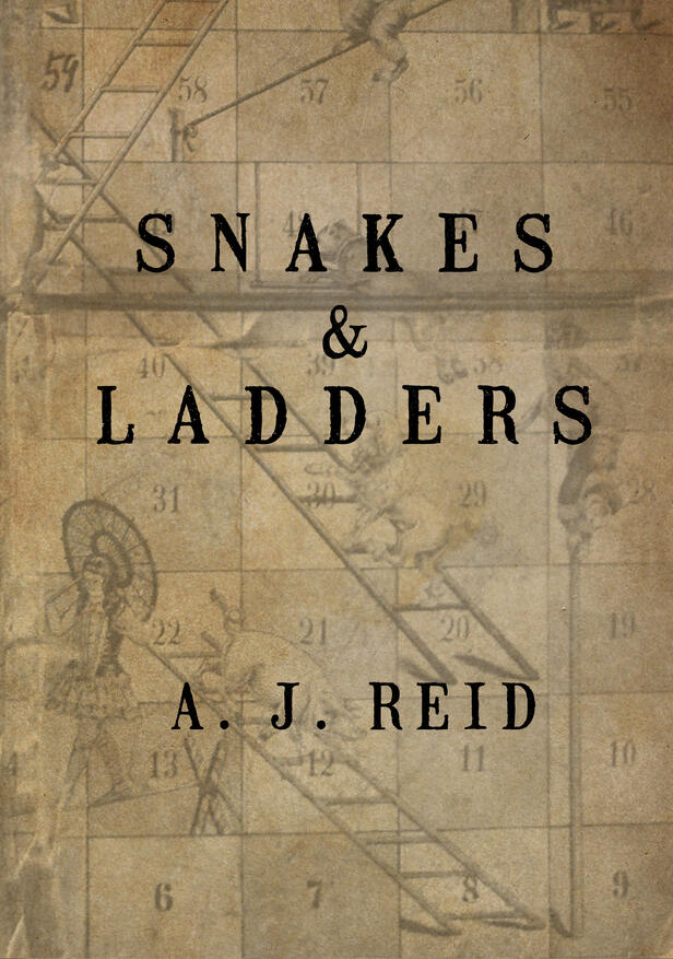 Dark comedy northern england, kafkaesque psychological thriller, crime fiction